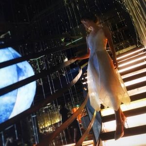 embroidered Silk lace dress and mulberry silk slip